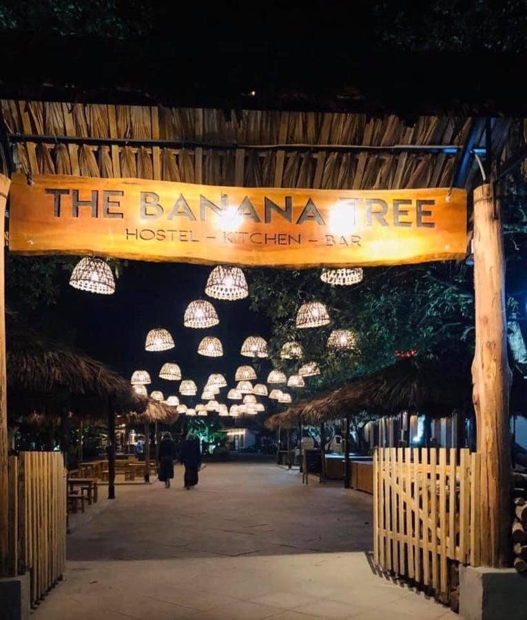The Banana Tree Hostel Ninh Binh Dış mekan fotoğraf